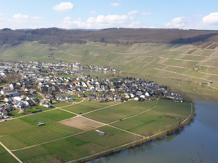Above the Moselloreley with a view of Piesport